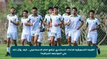 القيمة التسويقية للاتحاد السكندري ترتفع أمام الإسماعيلي.. كيف يؤثر ذلك على المواجهة المرتقبة؟